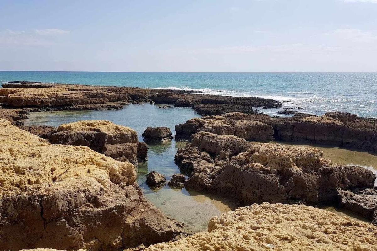 Albufeira, Vista Mar Apartment Ngoại thất bức ảnh
